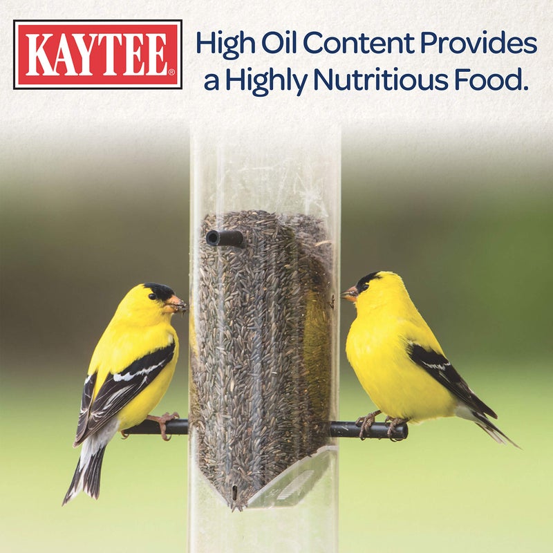 Kaytee Nyjer Wild Bird Food Seed, 3 Pound - Image 5